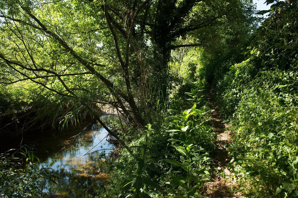 Recanto Da Ribeira Casas De Campo Monchique Eksteriør billede