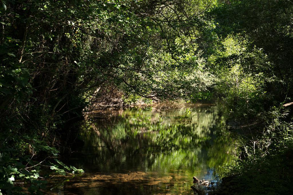 Recanto Da Ribeira Casas De Campo Monchique Eksteriør billede